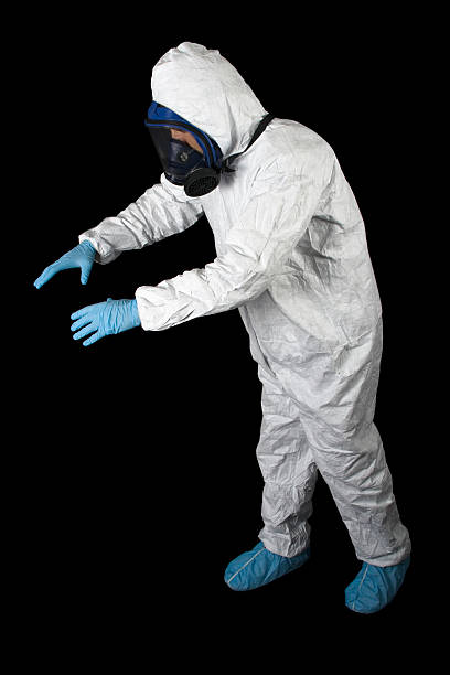 Best Black Mold Removal  in New York Mills, MN