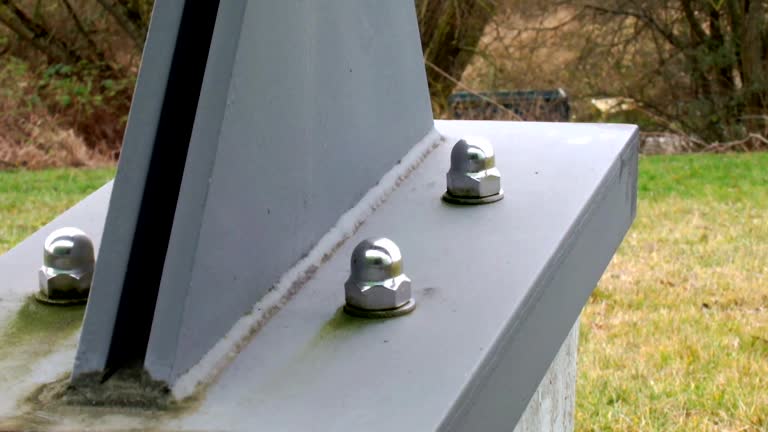 Best Forensic Mold Investigation  in New York Mills, MN